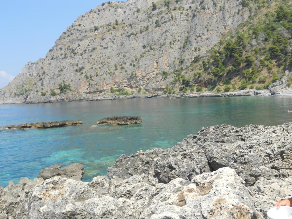 Villa Luisa Sul Mare Капителло Экстерьер фото