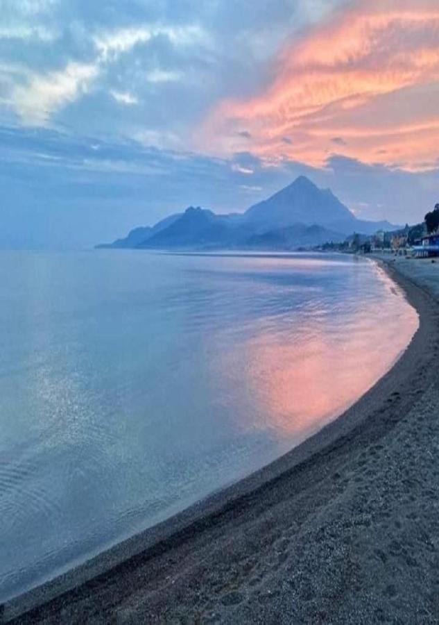 Villa Luisa Sul Mare Капителло Экстерьер фото